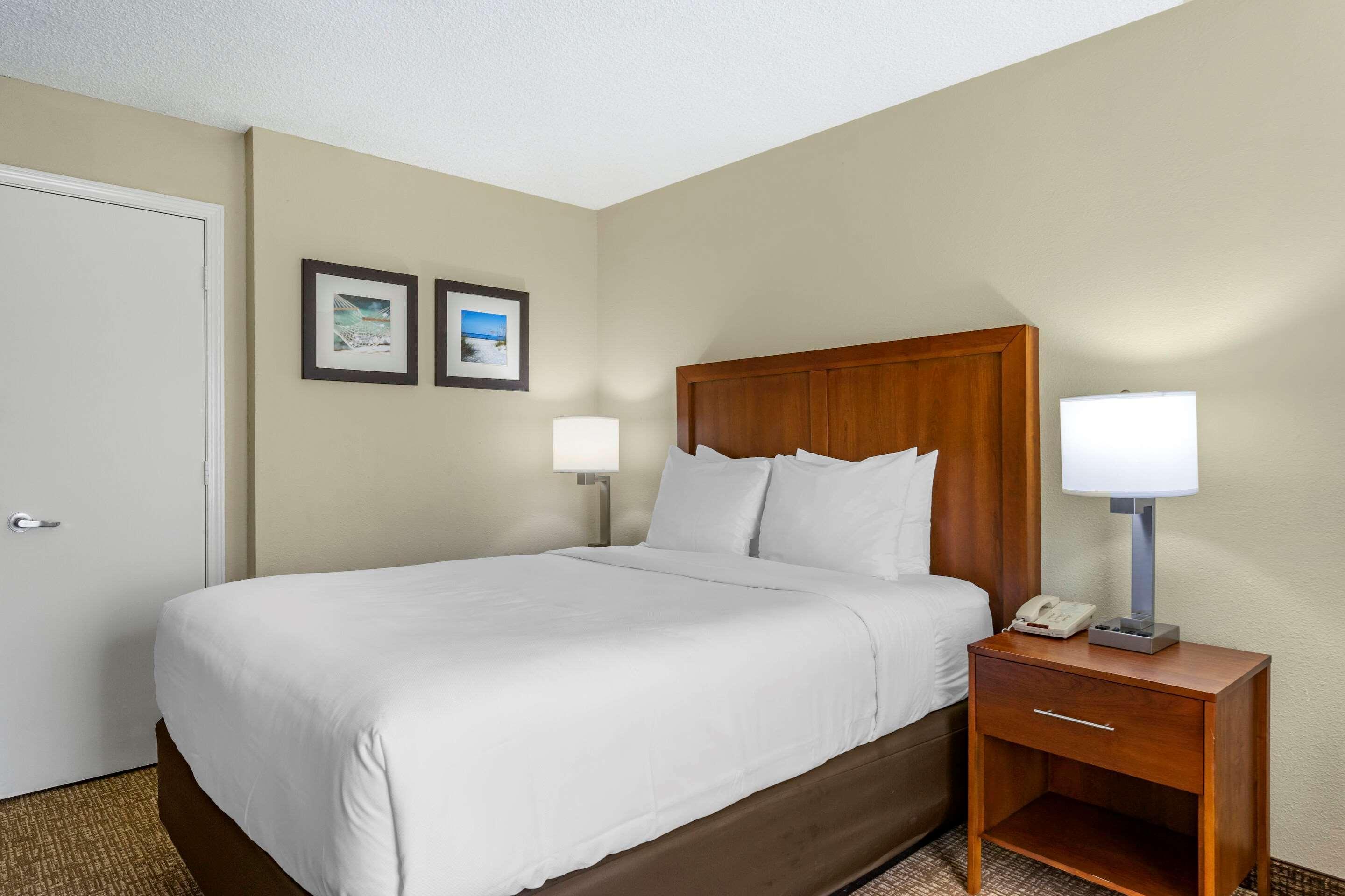 Comfort Inn & Suites St Pete - Clearwater International Airport Екстериор снимка