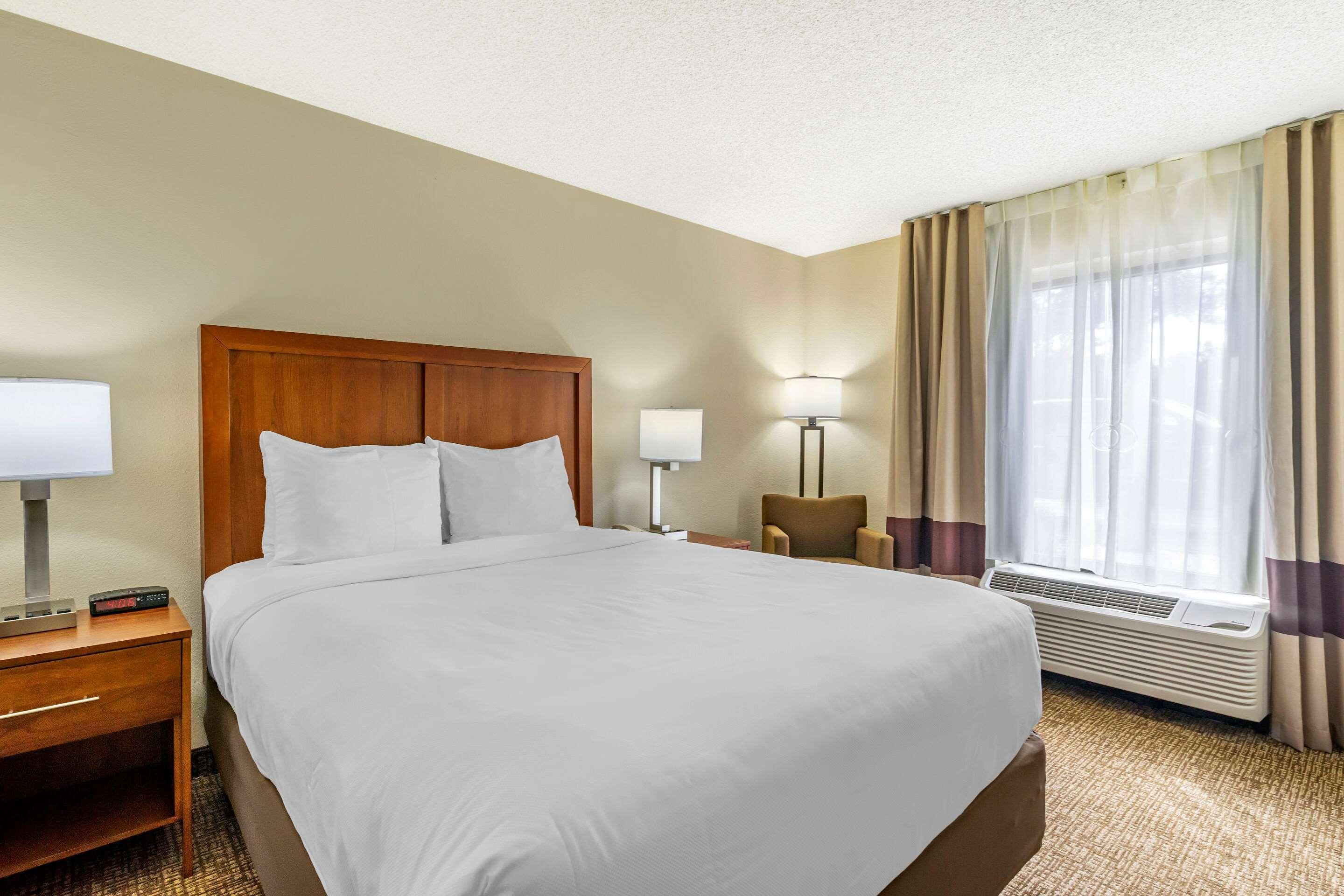 Comfort Inn & Suites St Pete - Clearwater International Airport Екстериор снимка