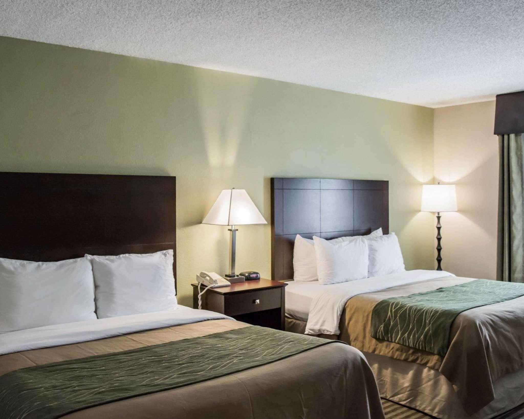 Comfort Inn & Suites St Pete - Clearwater International Airport Екстериор снимка