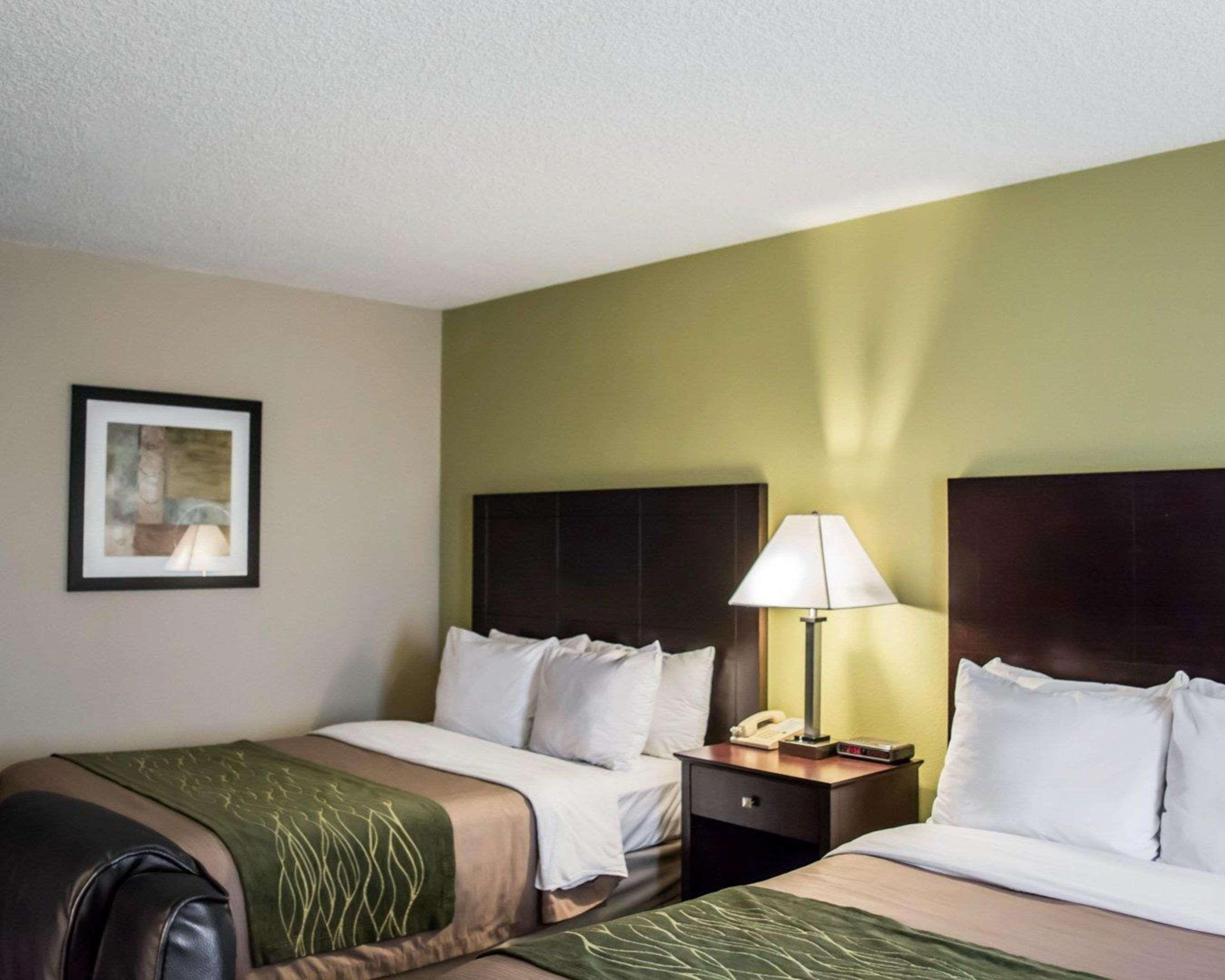 Comfort Inn & Suites St Pete - Clearwater International Airport Екстериор снимка