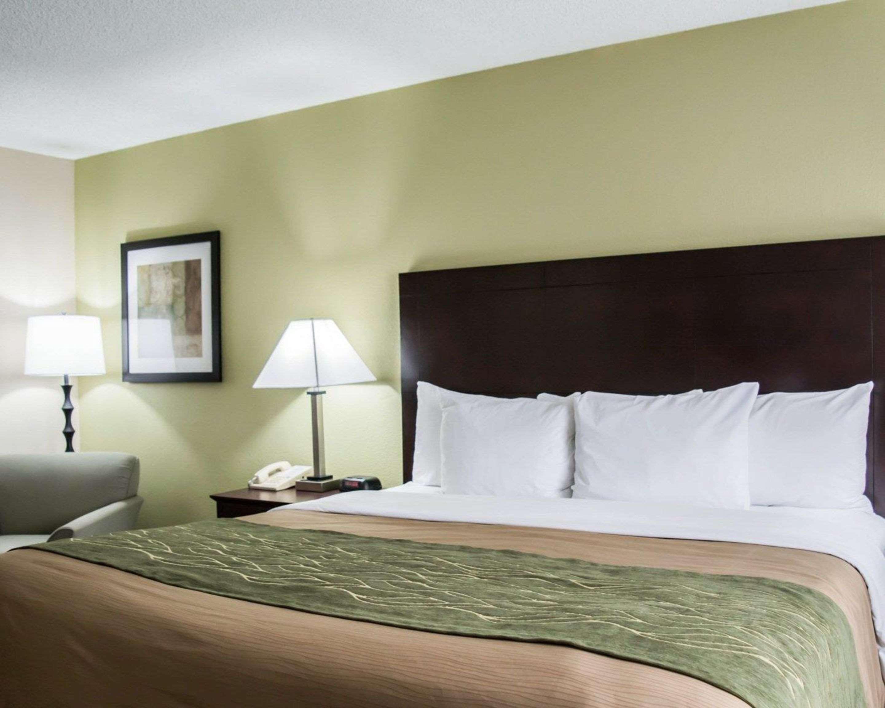 Comfort Inn & Suites St Pete - Clearwater International Airport Екстериор снимка
