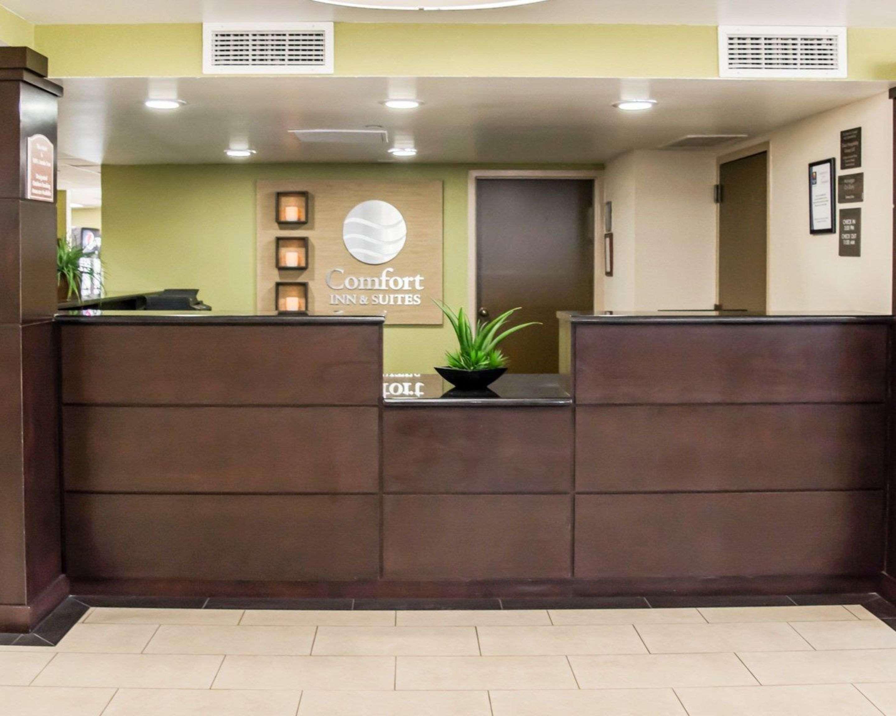 Comfort Inn & Suites St Pete - Clearwater International Airport Екстериор снимка