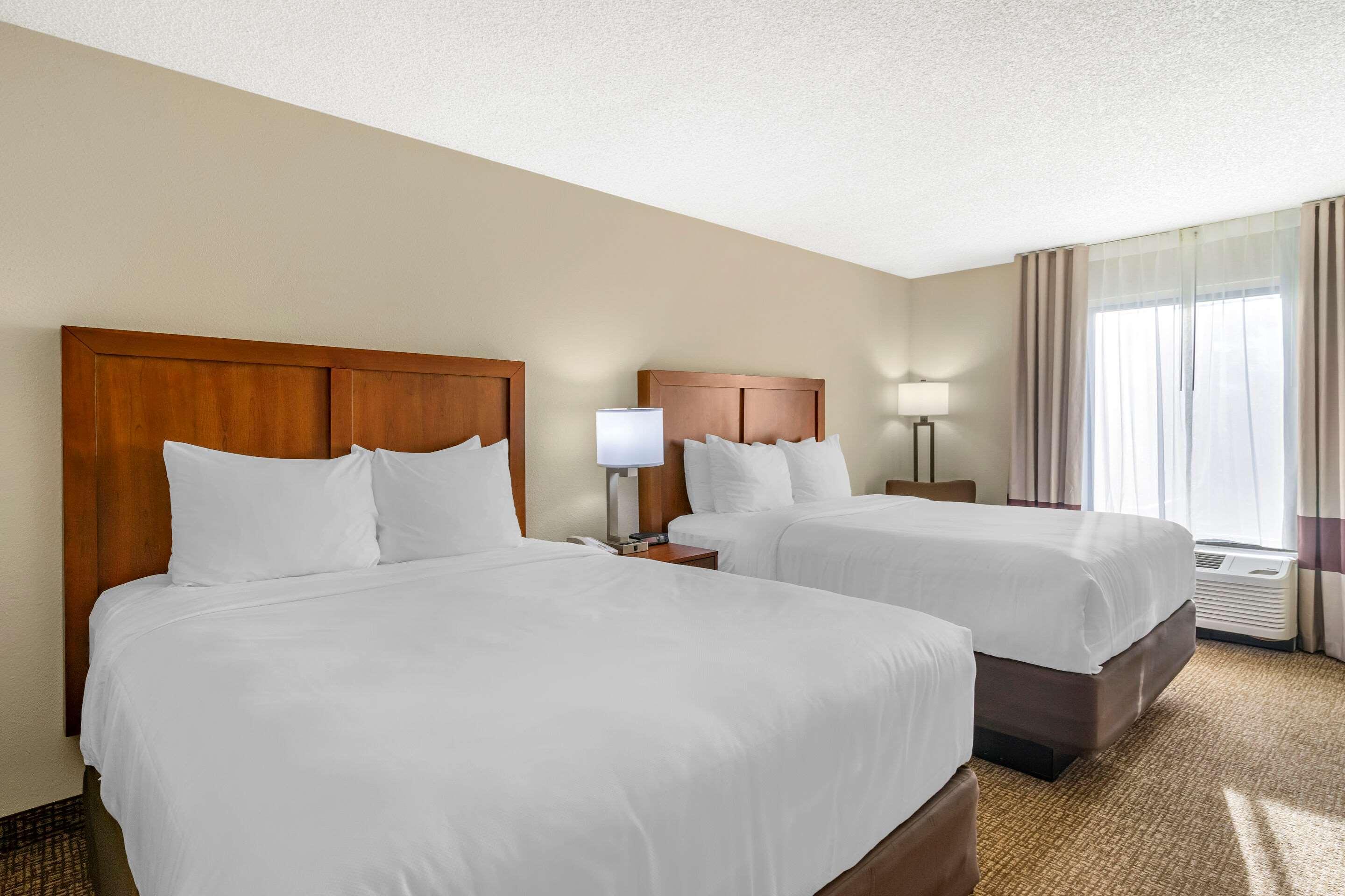 Comfort Inn & Suites St Pete - Clearwater International Airport Екстериор снимка