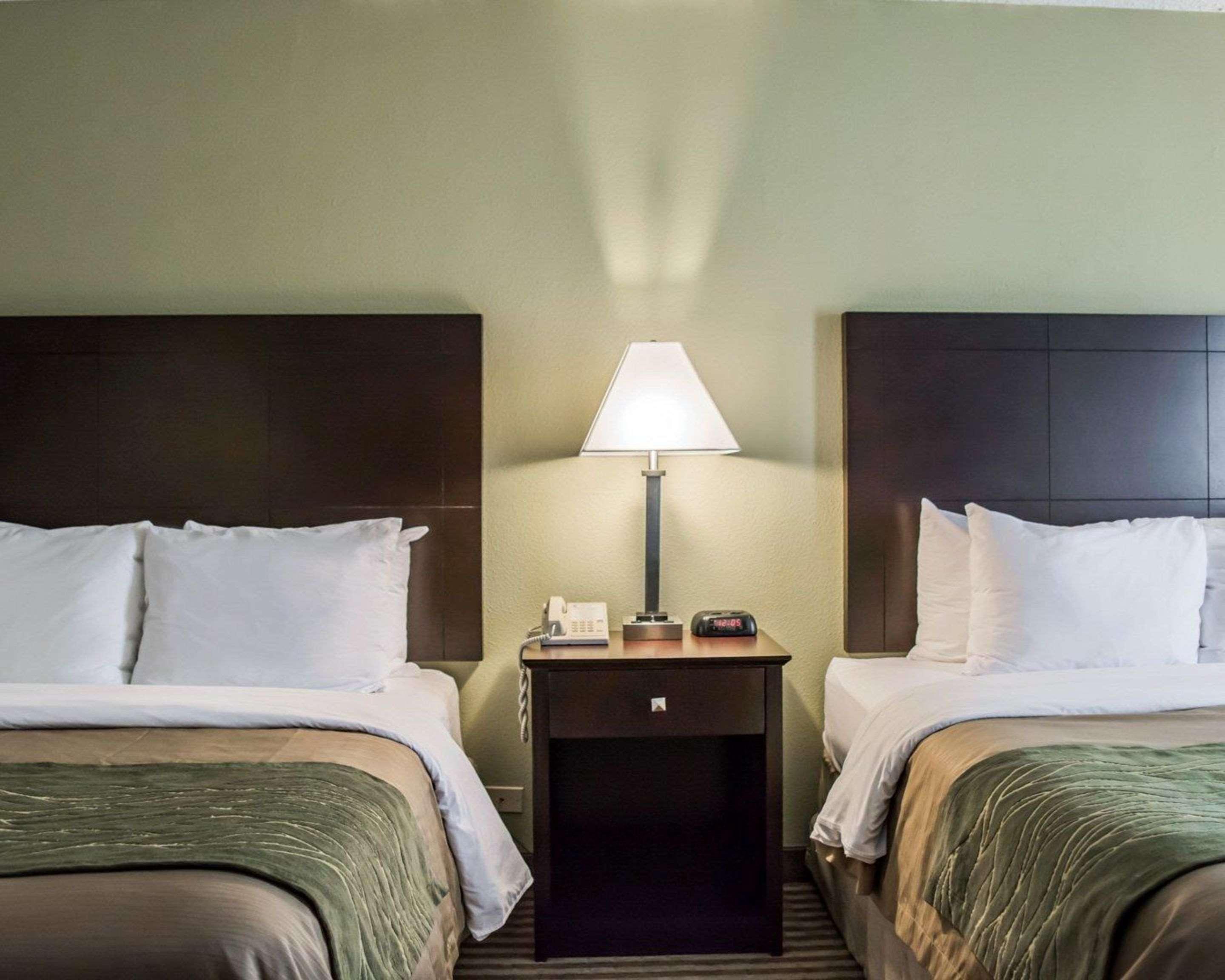 Comfort Inn & Suites St Pete - Clearwater International Airport Екстериор снимка