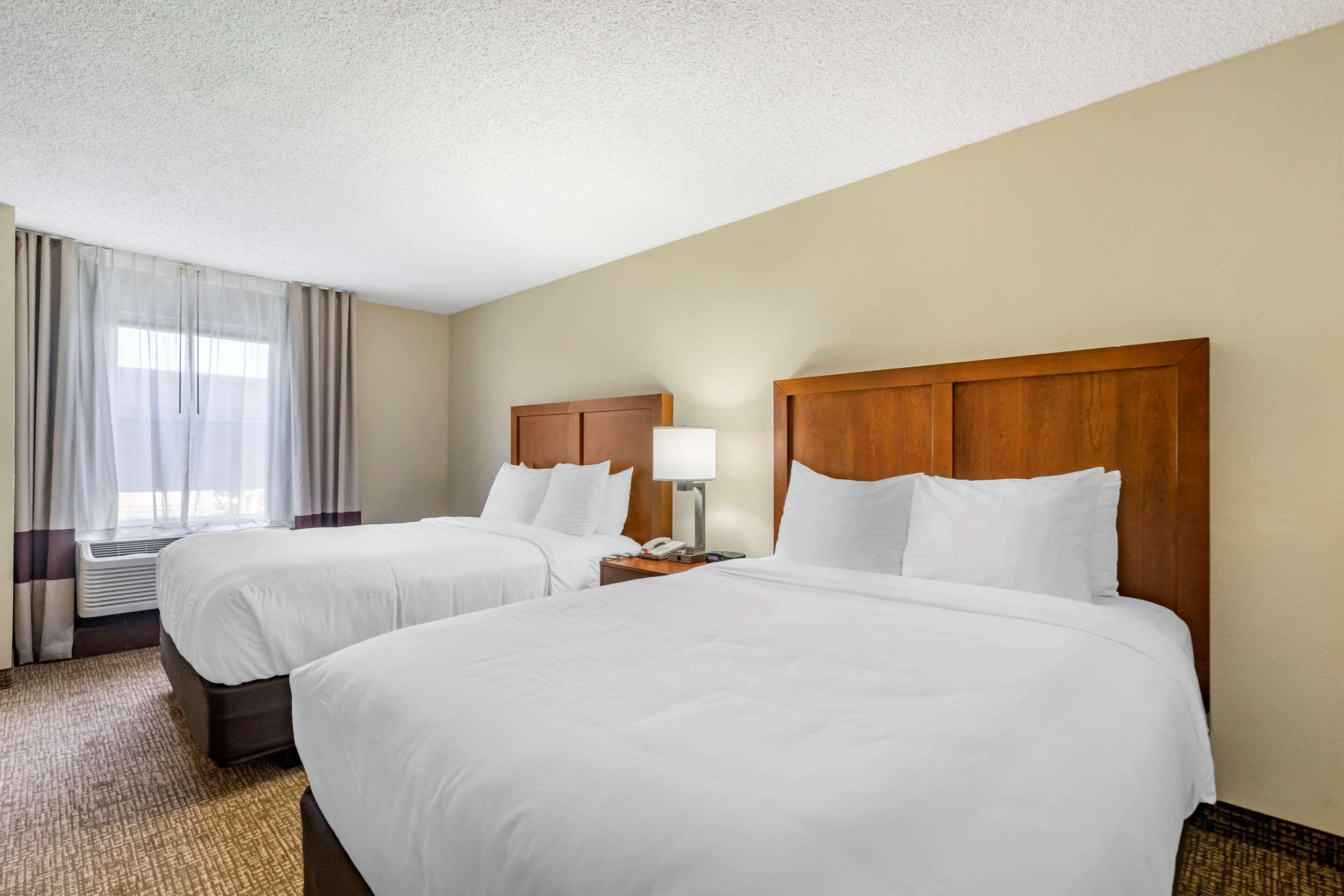 Comfort Inn & Suites St Pete - Clearwater International Airport Екстериор снимка