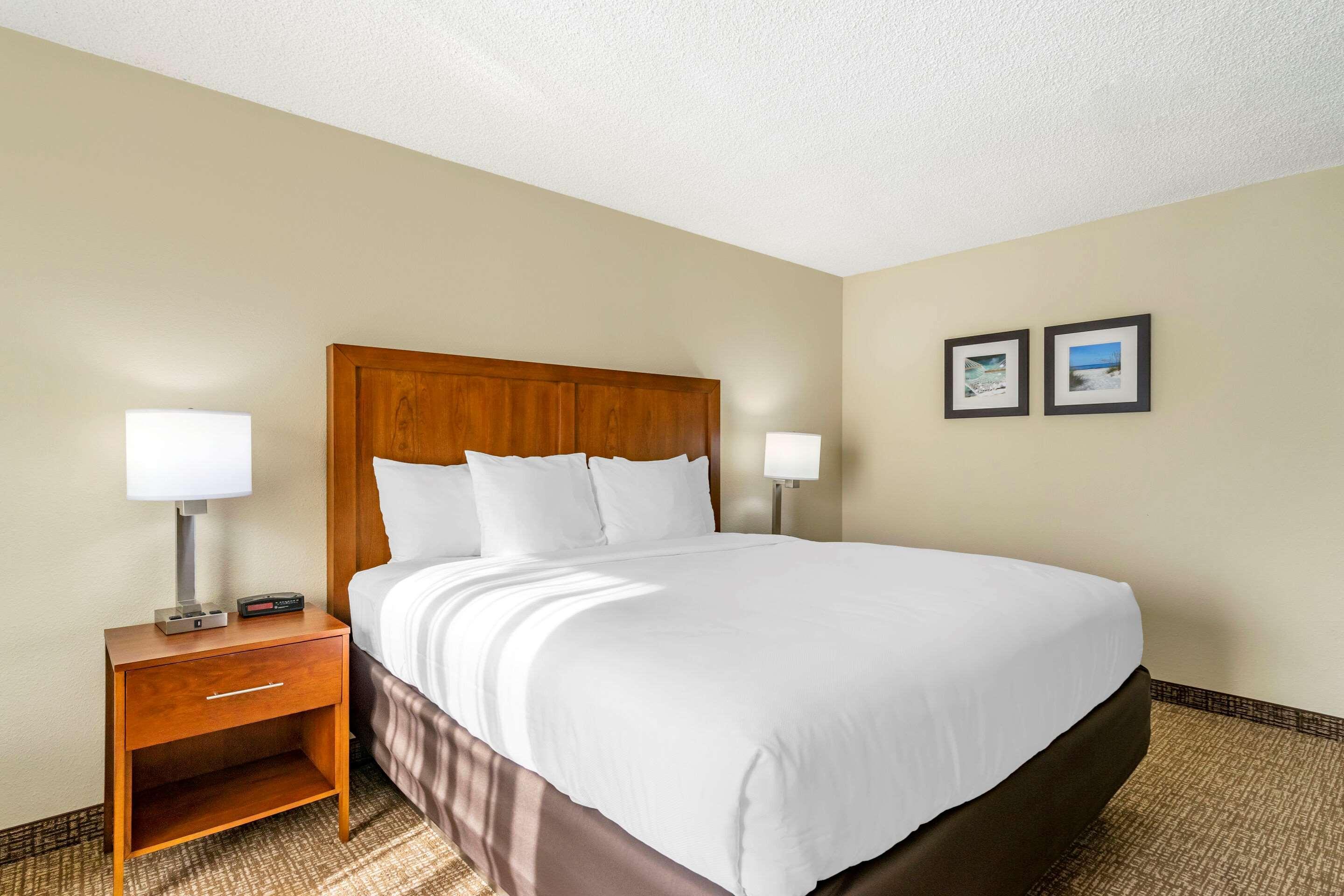 Comfort Inn & Suites St Pete - Clearwater International Airport Екстериор снимка