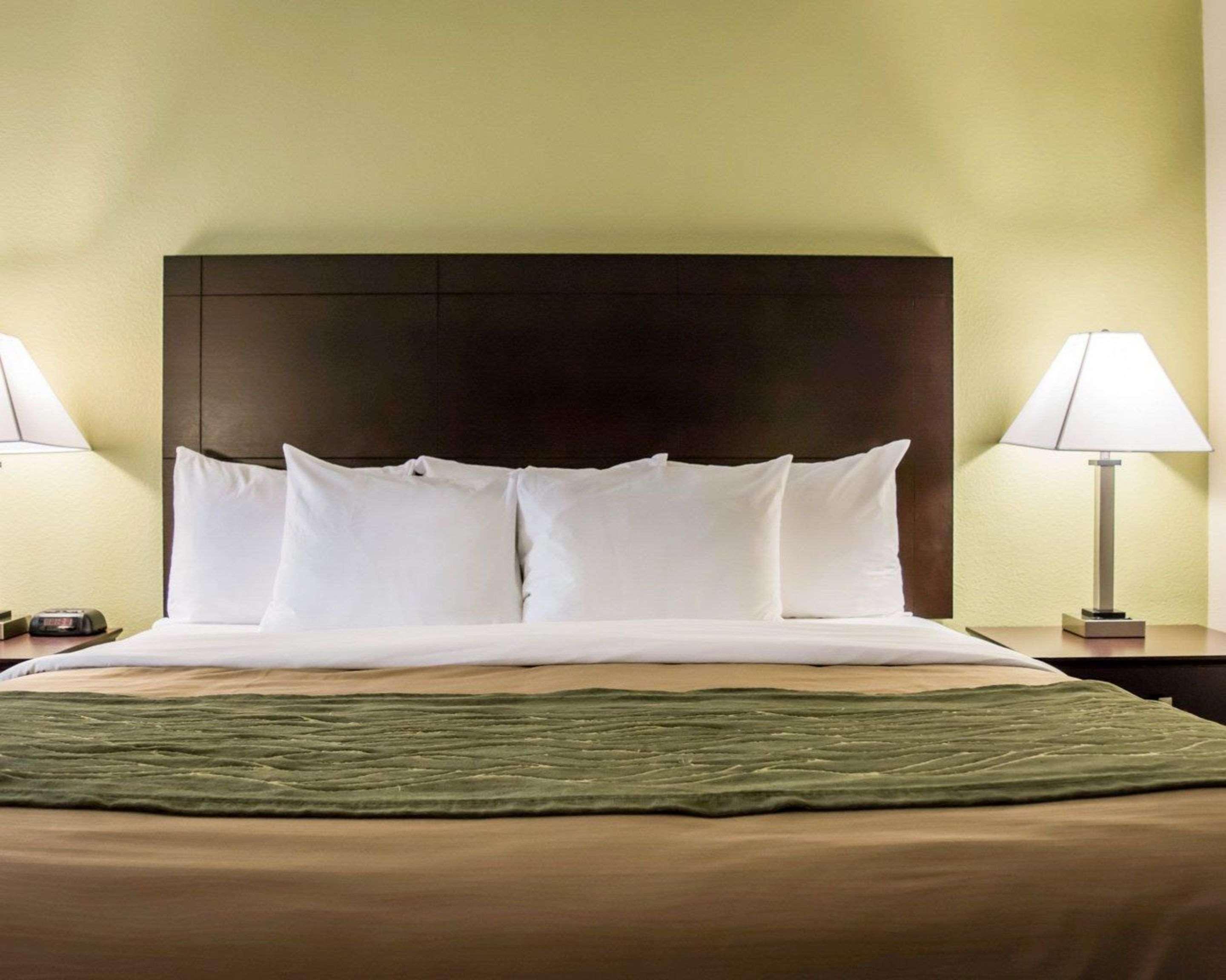 Comfort Inn & Suites St Pete - Clearwater International Airport Екстериор снимка